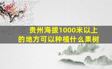 贵州海拔1000米以上的地方可以种植什么果树