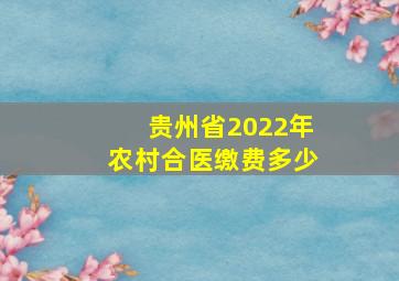 贵州省2022年农村合医缴费多少