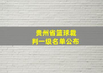 贵州省篮球裁判一级名单公布