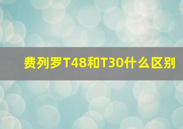 费列罗T48和T30什么区别