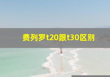 费列罗t20跟t30区别