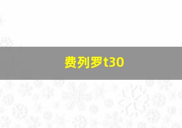 费列罗t30