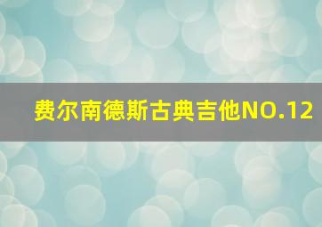 费尔南德斯古典吉他NO.12