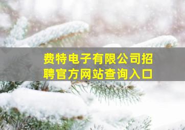 费特电子有限公司招聘官方网站查询入口