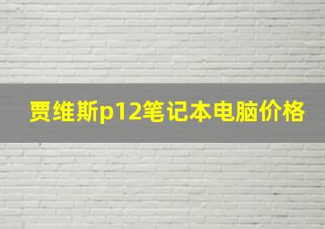 贾维斯p12笔记本电脑价格