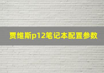 贾维斯p12笔记本配置参数