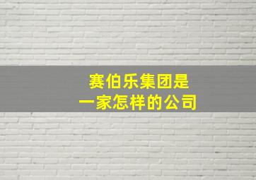 赛伯乐集团是一家怎样的公司