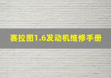 赛拉图1.6发动机维修手册