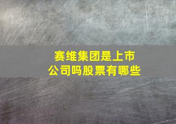 赛维集团是上市公司吗股票有哪些