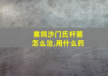 赛鸽沙门氏杆菌怎么治,用什么药