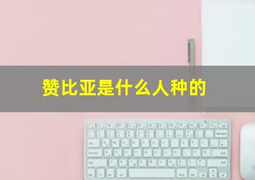 赞比亚是什么人种的