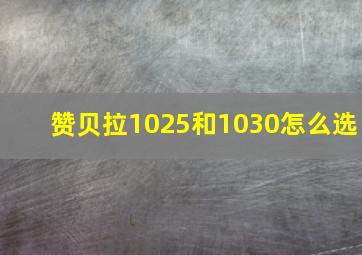 赞贝拉1025和1030怎么选