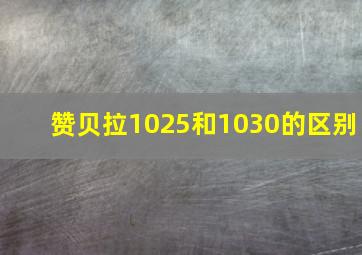 赞贝拉1025和1030的区别