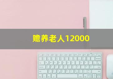 赡养老人12000