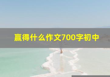 赢得什么作文700字初中