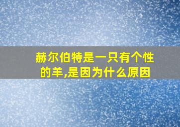 赫尔伯特是一只有个性的羊,是因为什么原因