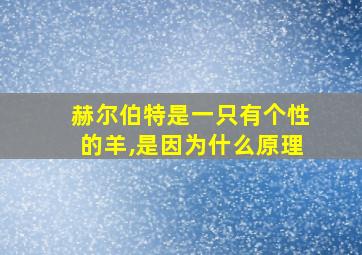 赫尔伯特是一只有个性的羊,是因为什么原理