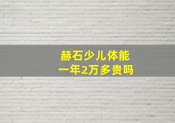 赫石少儿体能一年2万多贵吗