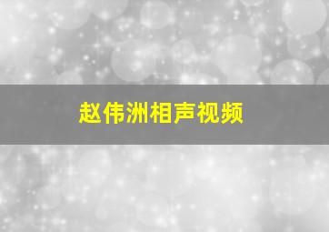 赵伟洲相声视频