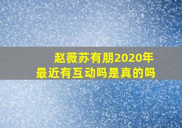 赵薇苏有朋2020年最近有互动吗是真的吗