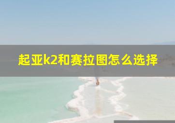 起亚k2和赛拉图怎么选择