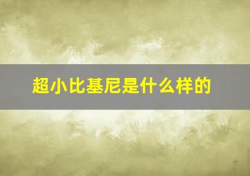 超小比基尼是什么样的