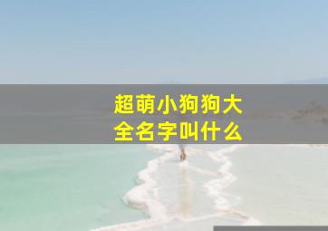 超萌小狗狗大全名字叫什么