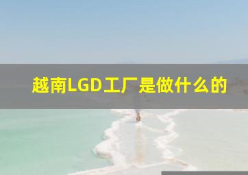 越南LGD工厂是做什么的