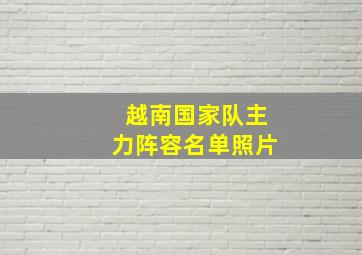 越南国家队主力阵容名单照片