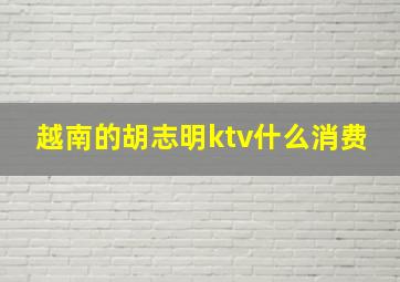 越南的胡志明ktv什么消费