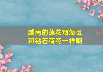 越南的莲花烟怎么和钻石荷花一样啊