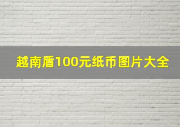 越南盾100元纸币图片大全