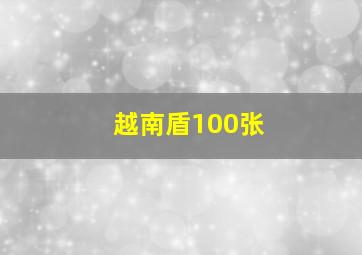 越南盾100张