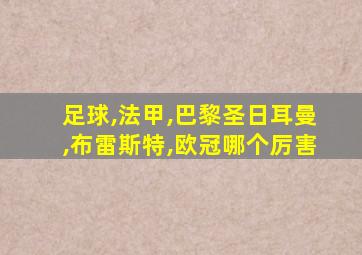 足球,法甲,巴黎圣日耳曼,布雷斯特,欧冠哪个厉害