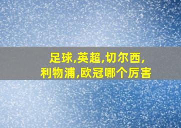 足球,英超,切尔西,利物浦,欧冠哪个厉害