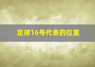 足球16号代表的位置