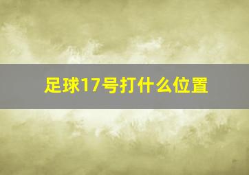 足球17号打什么位置