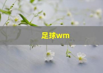 足球wm