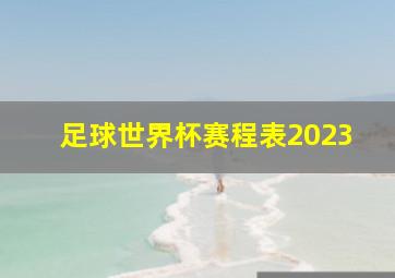 足球世界杯赛程表2023