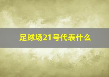 足球场21号代表什么