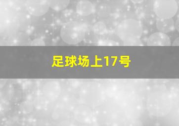 足球场上17号