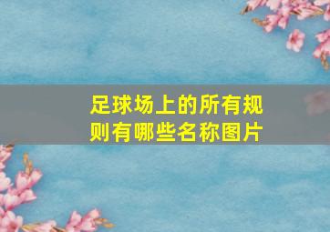 足球场上的所有规则有哪些名称图片