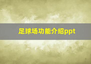 足球场功能介绍ppt