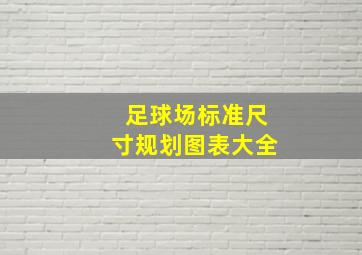 足球场标准尺寸规划图表大全