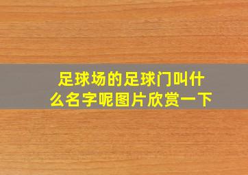 足球场的足球门叫什么名字呢图片欣赏一下