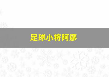 足球小将阿廖