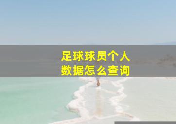 足球球员个人数据怎么查询