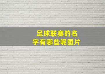 足球联赛的名字有哪些呢图片