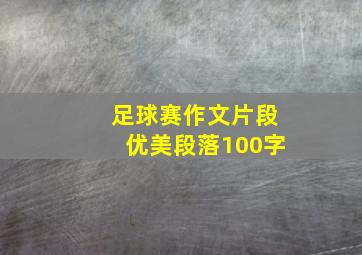 足球赛作文片段优美段落100字