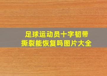 足球运动员十字韧带撕裂能恢复吗图片大全